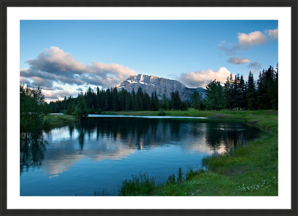 Beaty of Alberta