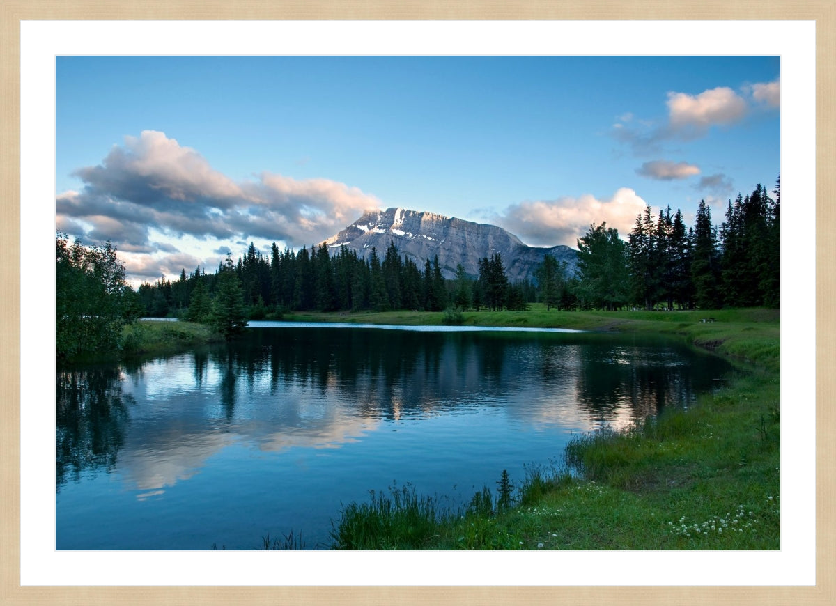 Beaty of Alberta