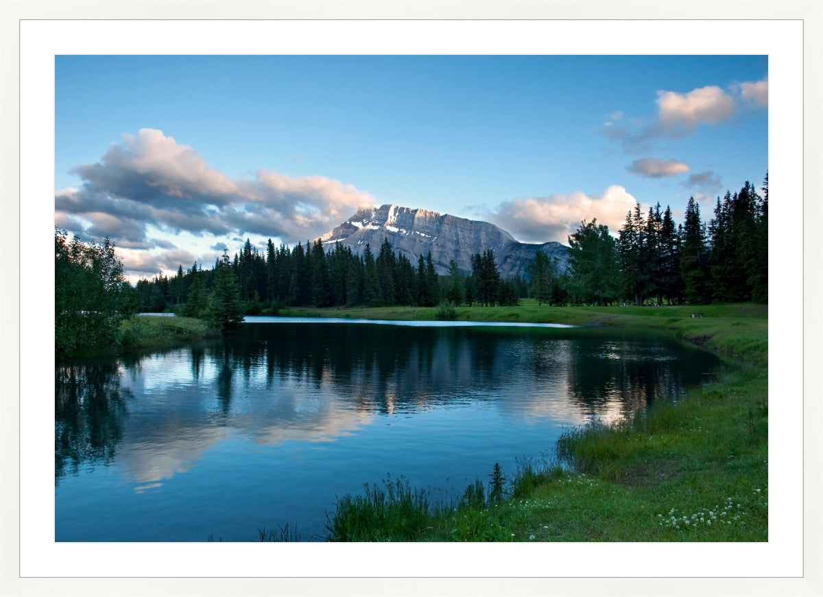 Beaty of Alberta