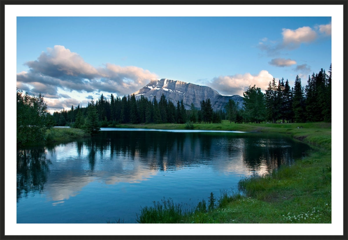 Beaty of Alberta