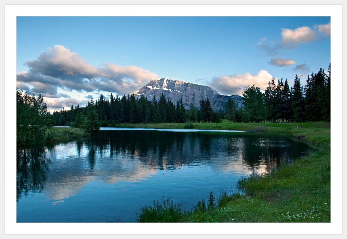 Beaty of Alberta