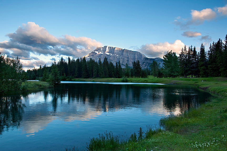 Beaty of Alberta