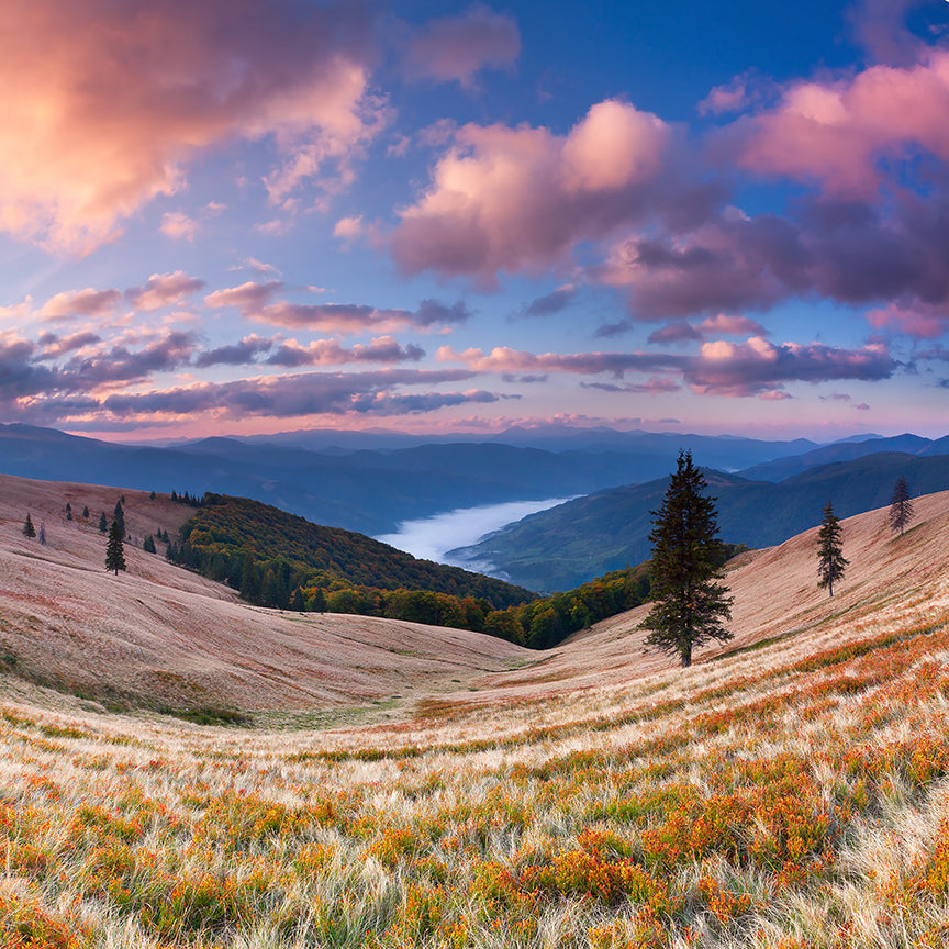 Colourful Vally in Magic Hour