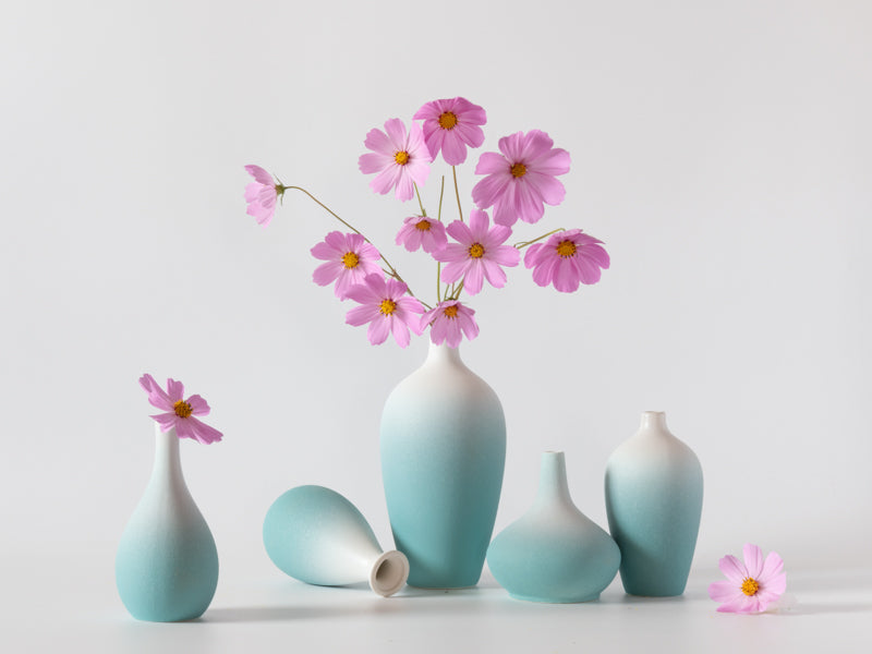 Cherry Blossom in Vase