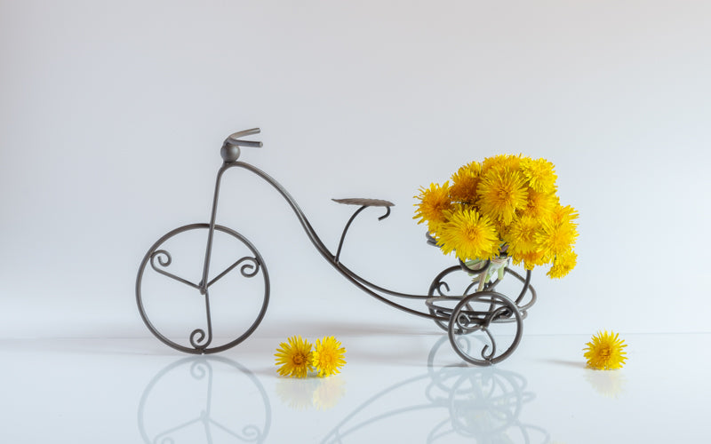 Bike with Flowers