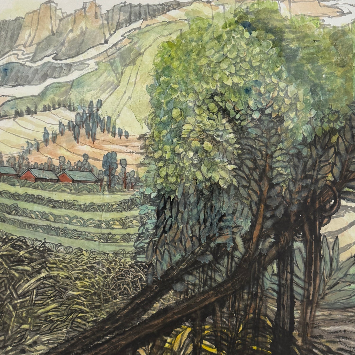 Village Transformed 山乡新貌