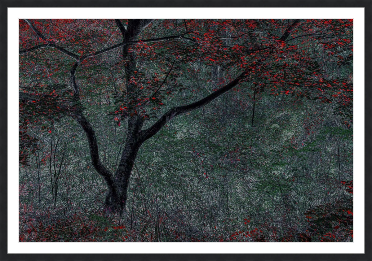 Red Tree