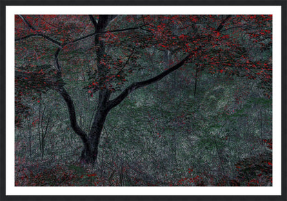 Red Tree