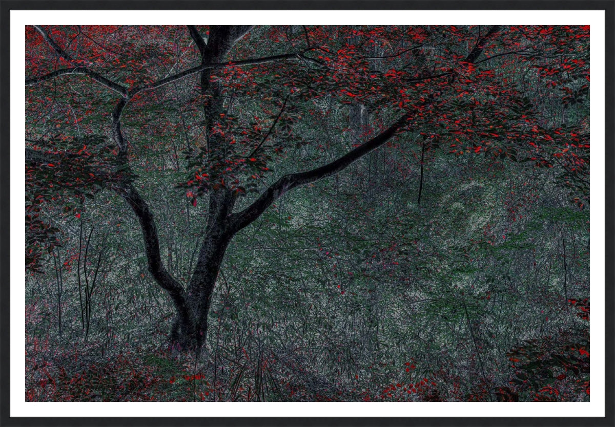 Red Tree