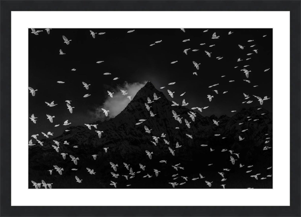 Birds and Mountain