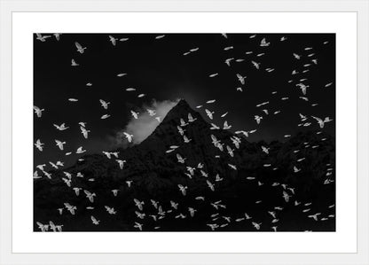 Birds and Mountain