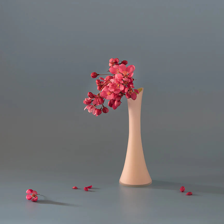 Pink Cherry in Vase