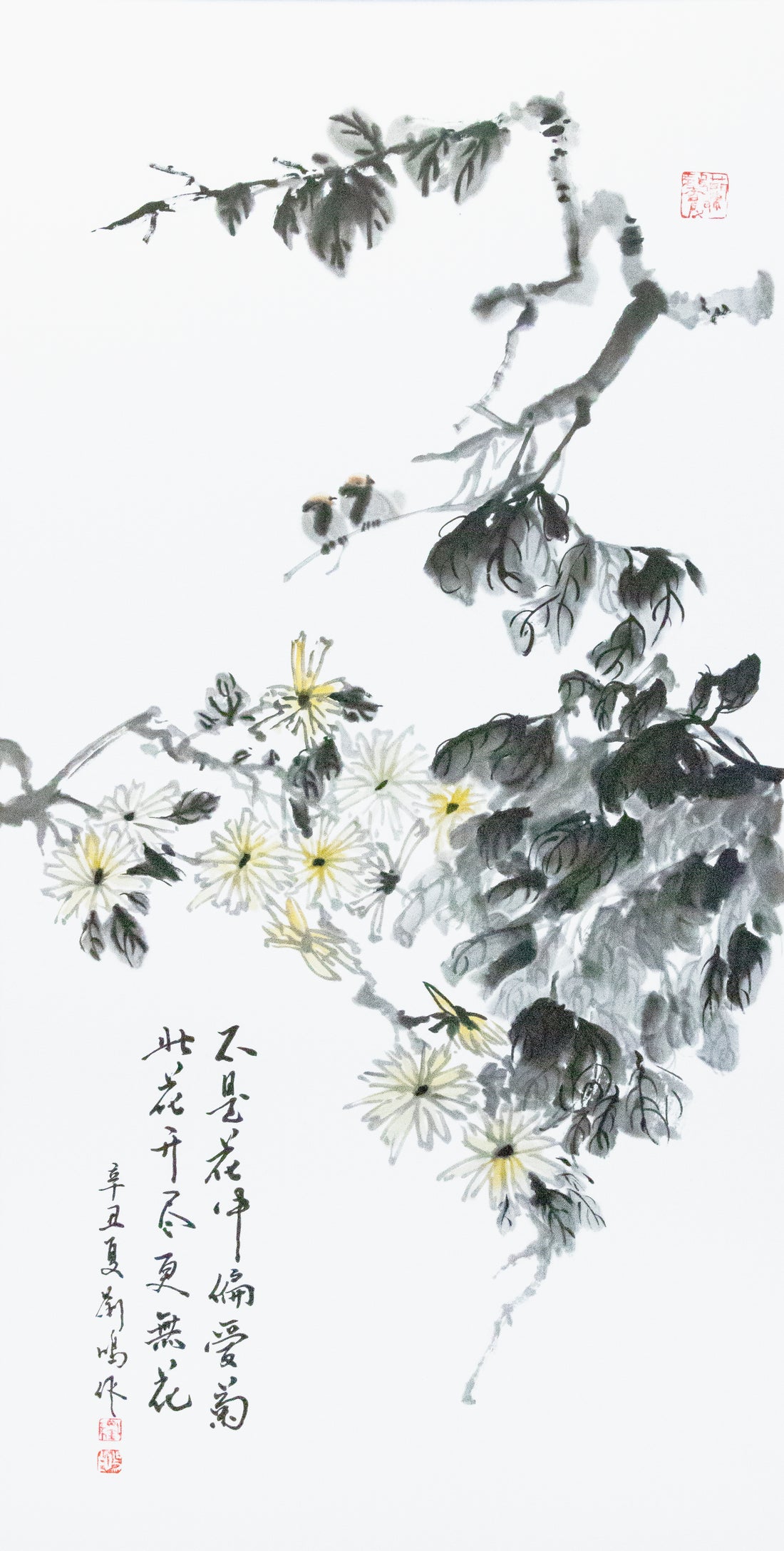 条屏-菊花 Chrysanthemum