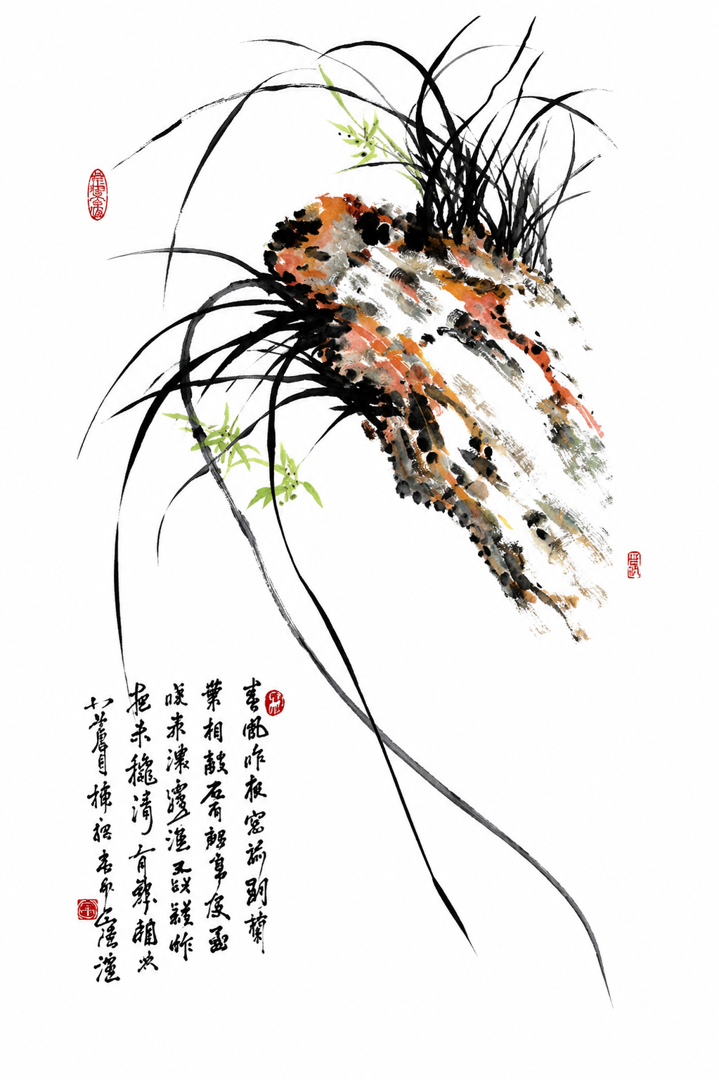 兰花