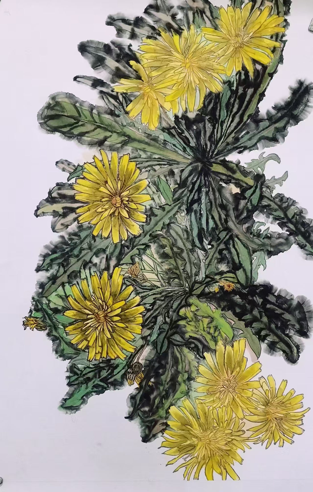 Solitary Bloom 孤芳自赏