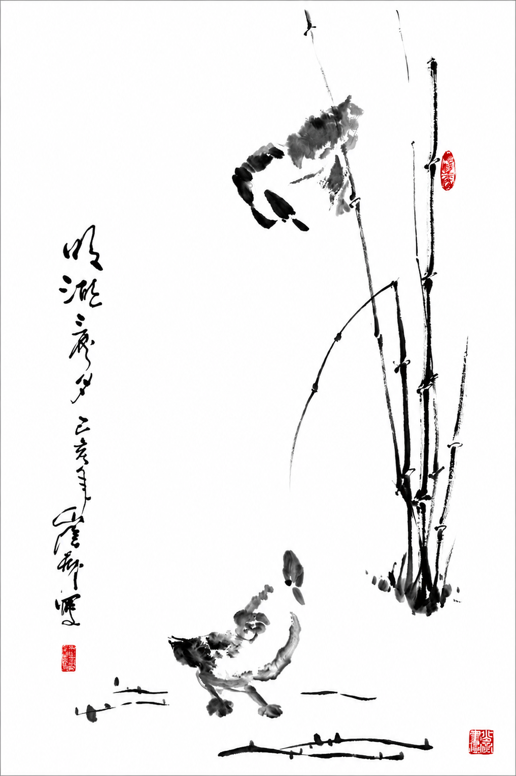 无叶竹