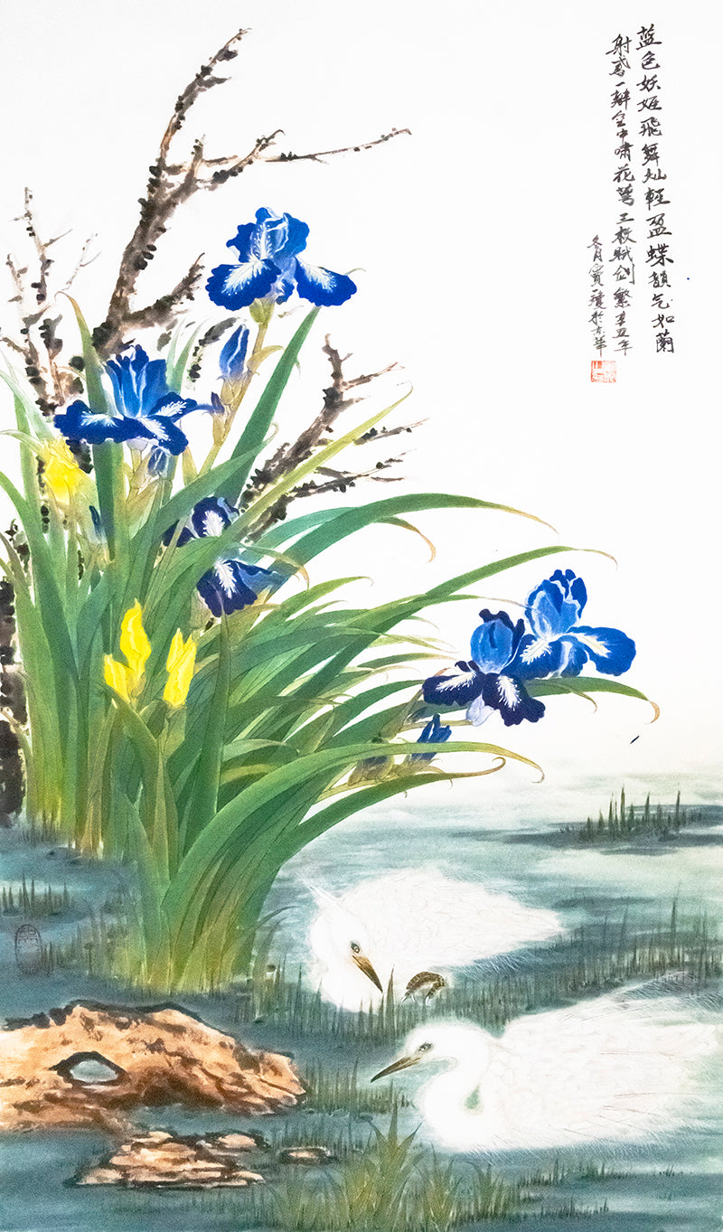 白鹭鸢尾蝴蝶兰 Little Egret with Garden Iris&amp;nbsp;